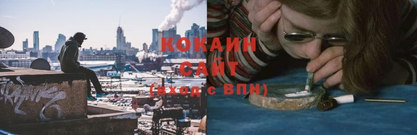 мдпв Козловка