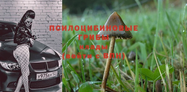 мдма Кодинск