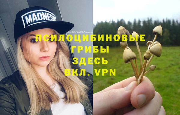 кокс Козельск