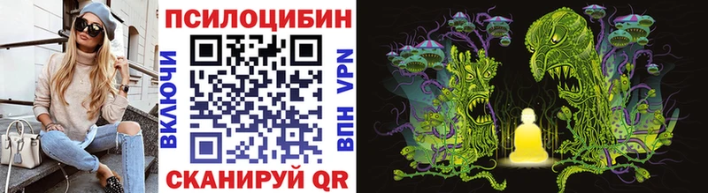Галлюциногенные грибы Psilocybine cubensis  Купить  Калтан 